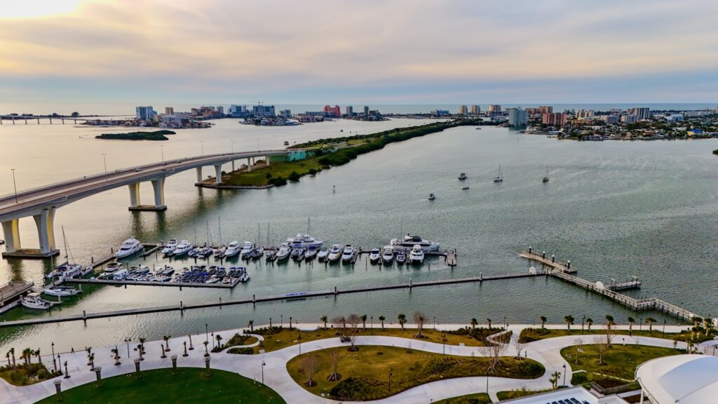 Dolphin Cruises and Things to Do on the Water in Clearwater