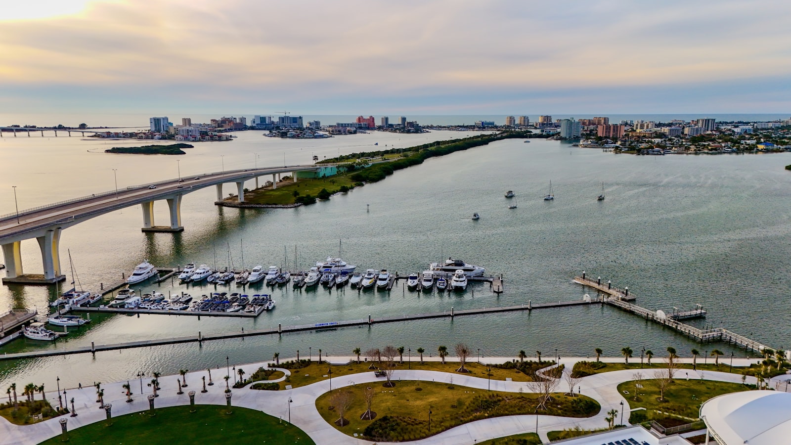 Dolphin Cruises and Things to Do on the Water in Clearwater