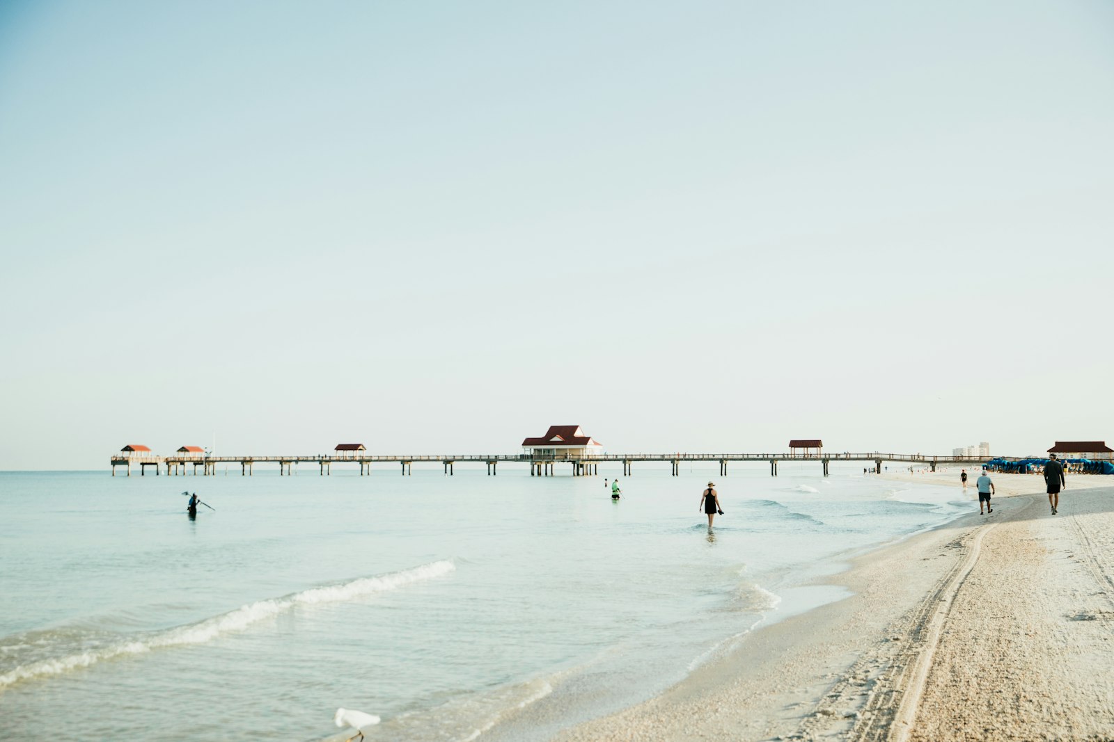 Things to Do Near Avalon, Clearwater Beach